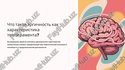 chto takoe ergichnost kak xarakteristika temperamenta? — PPTX