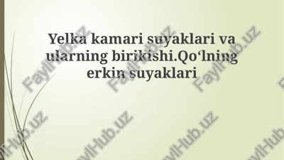 suyaklar va sirlar — PPTX