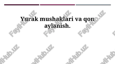 yurak mushaklari va qon aylanish — PPTX