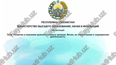 razvitie i funktsiya mujskix polovix organov — PPTX