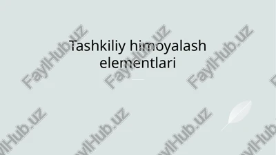 tashkiliy himoyalash elementlari — PPTX