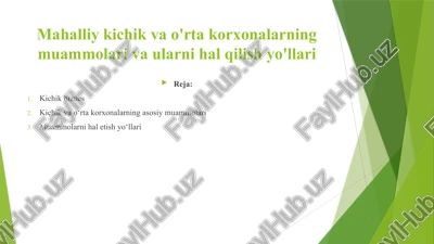 kichik biznes — PPTX