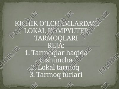kichik o’lchamlardagi lokal kompyuter tarmoqlari — PPTX