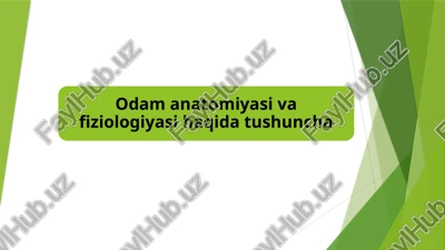 odam anatomiyasi va fiziologiyasi haqida tushuncha — PPTX