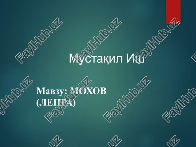 moxov (lepra) — PPTX