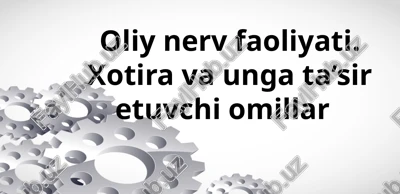 xotira — PPTX