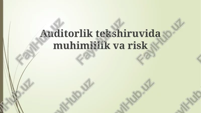 auditorliktekshiruvidamuhimlilikvarisk — PPTX