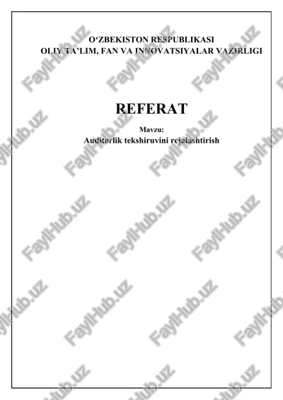 auditorlik tekshiruvini rejalashtirish — DOCX