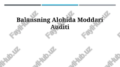 pul mablagʻlari auditi — PPTX