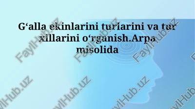don ekinlarini turlari va navlari — PPTX
