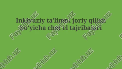 inklyuziy ta'limni joriy qilish bo'yicha chet el tajribalari — PPTX