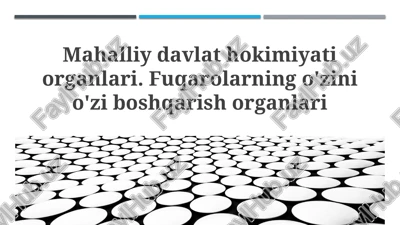 mahalliy davlat hokimiyati organlari — PPTX