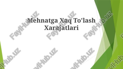 mehnatga xarajatlari — PPTX