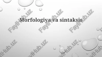 morfologiya va sintaksis — PPTX