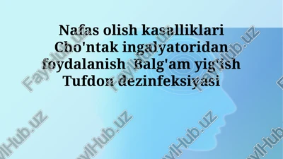 nafas olish kasalliklari cho'ntak ingalyatori — PPTX