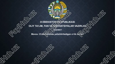 oʻzbekistondayetishtiriladiganoʻriknavlari — PPTX