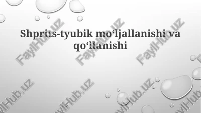 shprits-tyubik mo'ljallanishi va qo'llanishi — PPTX