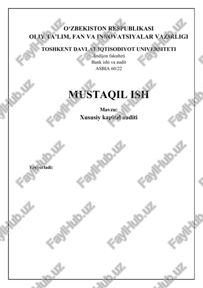 xususiy kapital auditi — DOCX
