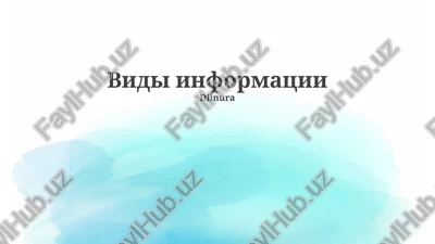 vidi informatsii — PPTX