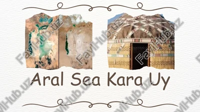 aral sea kara uy — PPTX