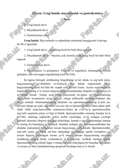 urug‘lanish, maydalanish va gastrulyatsiya — DOCX