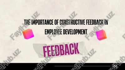 the importance of constructive feedback in employee development — PDF