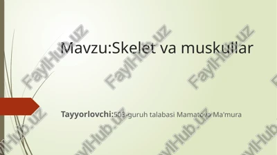 skelet va muskullar — PPTX