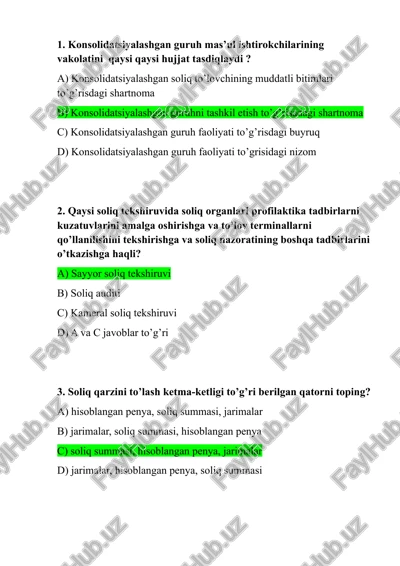 soliq audit — DOCX