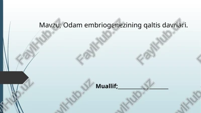 odamb embriogenezi qaltisdavrlari — PPTX