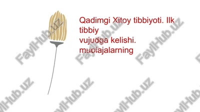 xitoy tibbiyoti — PPTX