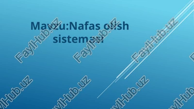 nafas olish sistemasi gistologik tuzilishi — PPTX