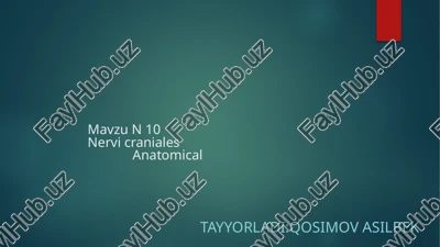 nervicraniales anatomiya — PPTX