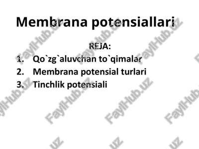 tinchlik potensiali — PPTX