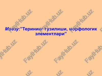 terining parazitar kasalliklari — PPTX