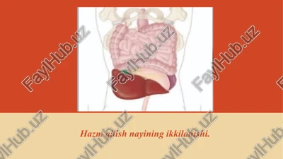 hazm qilish nayining ikkilanishi — PPTX
