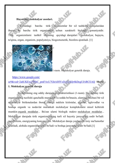 hayotning molekulyar asoslari. — DOC