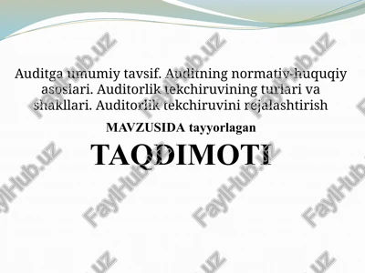auditga umumiy tavsif — PPTX