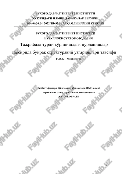 tajribada turli ko'rinishdagi nurlanishlar ta'sirida buyrak strukturaviy o'zgarishlari tavsifi — DOCX
