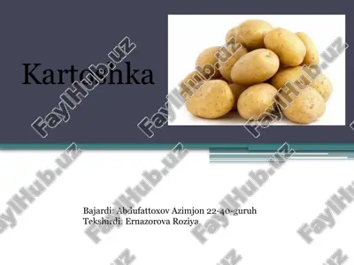 kartoshka — PPTX