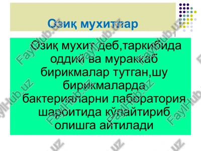 oziq muxitlar — PPTX