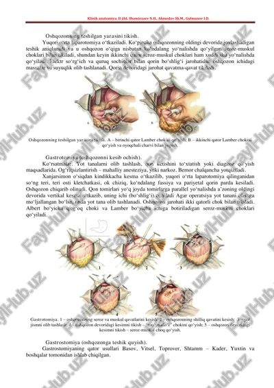 klinik anatomiya. ii jild — PDF