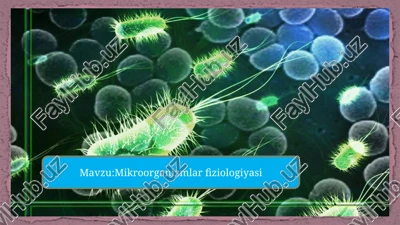 mikroorganizmlar fiziologiyasi — PPTX