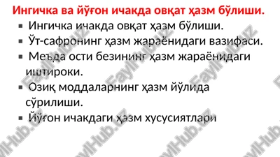 ovqat hazm jarayoni — PPTX