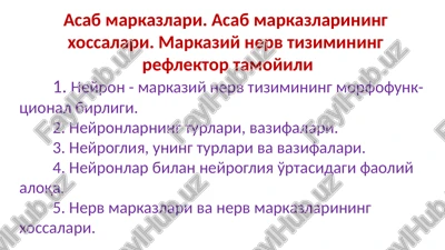 neyrogliya — PPTX