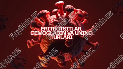 eritrotsitlar gemaglabin va uning turlari — PDF