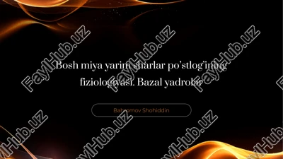 bosh miya yarim sharlar po'stlog'ining fiziologiyasi. bazal yadrolar — PPTX