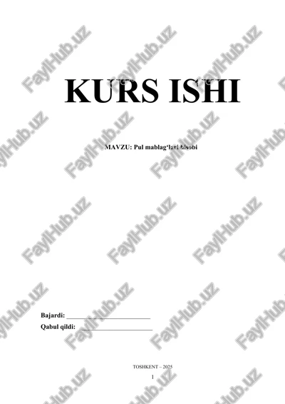 pul mablagʻlari hisobi — DOCX