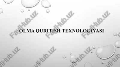 olma quritish texnologiyasi — PPTX