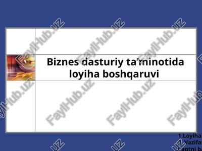 biznes dasturiy ta'limi — PPTX