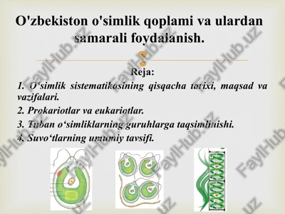 o‘simoq sistemasi — PPT
